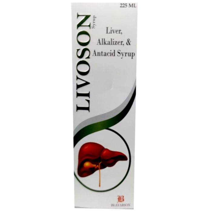 Livoson Syrup - Nibasu