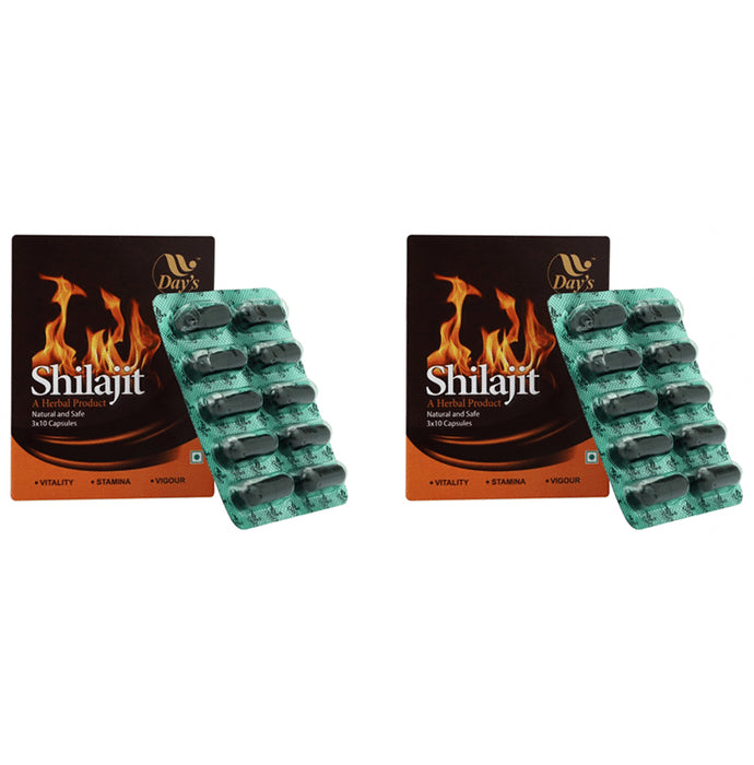Day's Shilajit Capsule (30 Each) - Nibasu