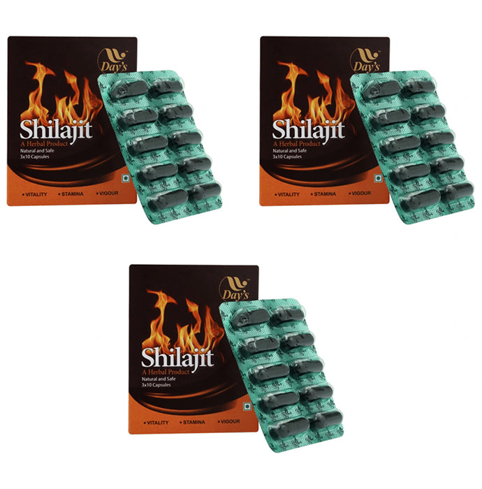 Day's Shilajit Capsule (30 Each) - Nibasu
