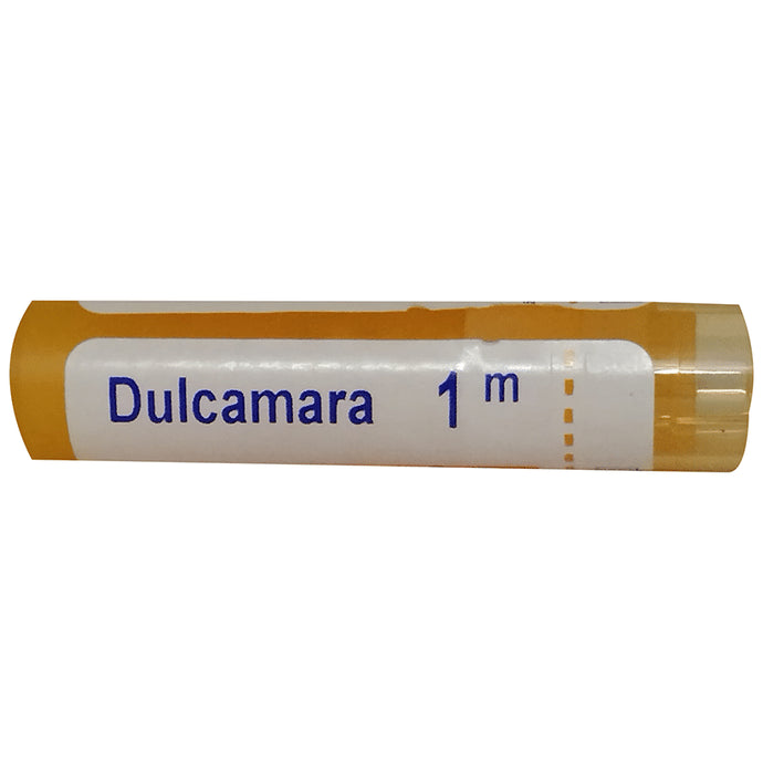 Boiron Dulcamara Pellets 1M - Nibasu