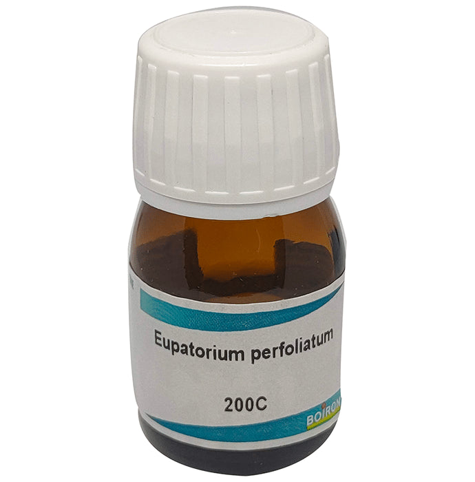 Boiron Eupatorium Perfoliatum Dilution 200C - Nibasu