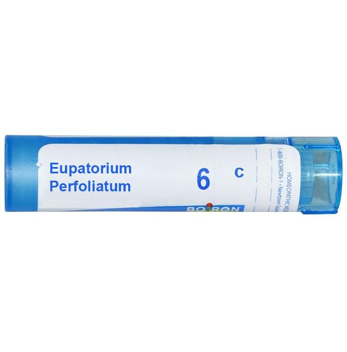 Boiron Eupatorium Perfoliatum Pellets 6C - Nibasu