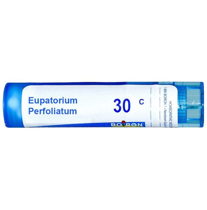 Boiron Eupatorium Perfoliatum Single Dose Approx 200 Microgranules 30 CH - Nibasu