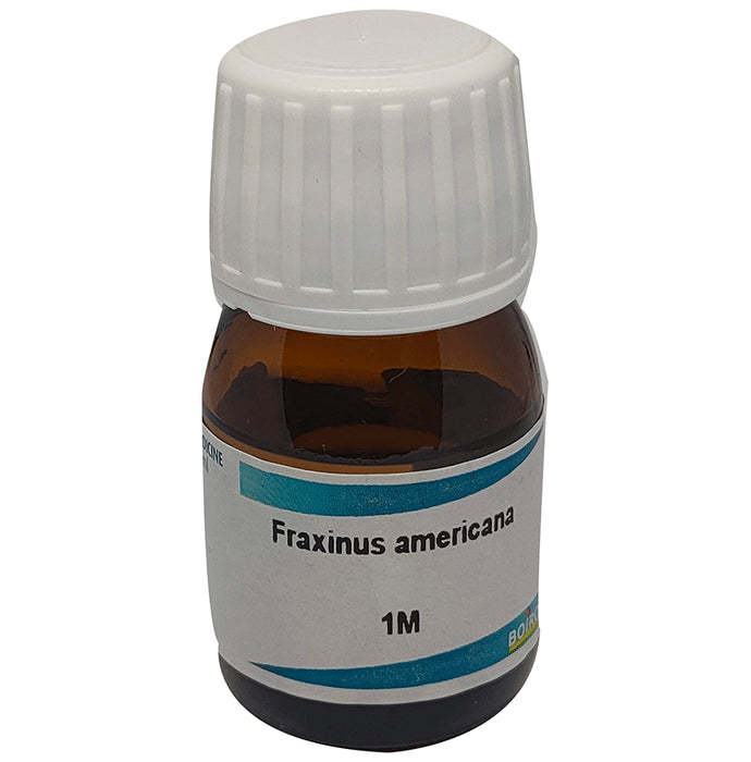 Boiron Fraxinus Americana Dilution 1M - Nibasu