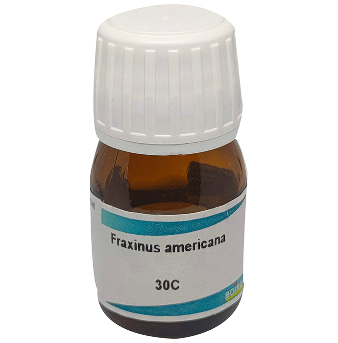 Boiron Fraxinus Americana Dilution 30C - Nibasu