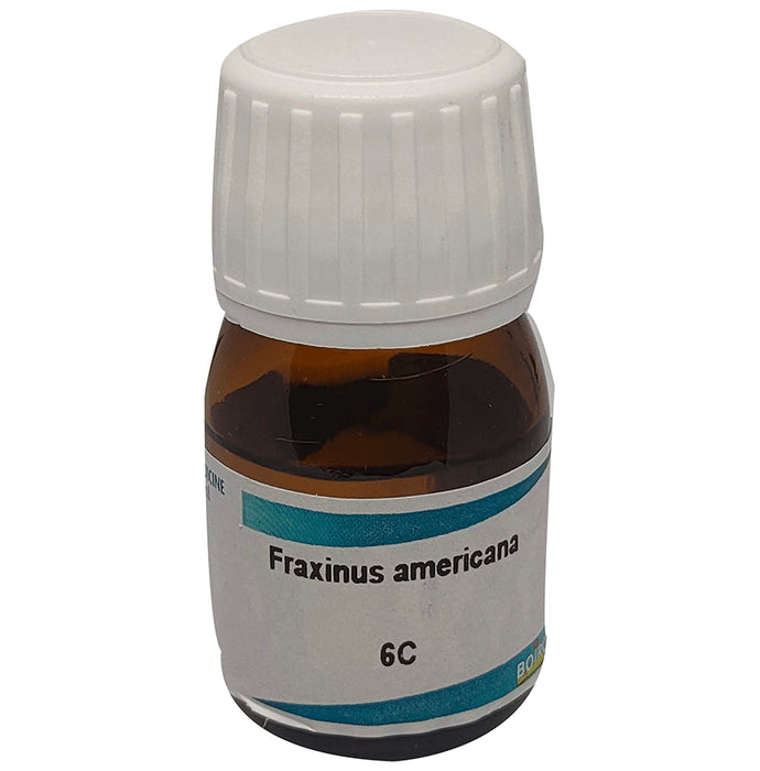 Boiron Fraxinus Americana Dilution 6C - Nibasu