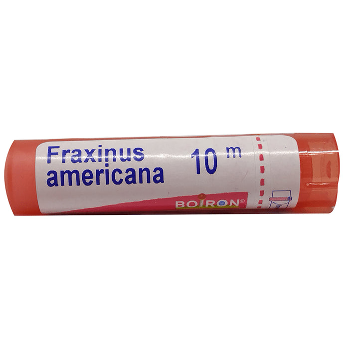 Boiron Fraxinus Americana Pellets 10M - Nibasu