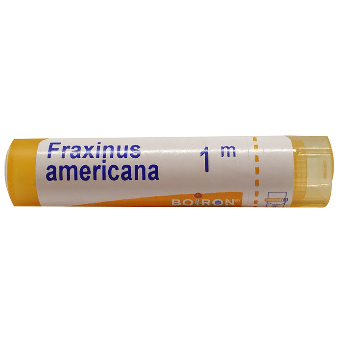 Boiron Fraxinus Americana Pellets 1M - Nibasu
