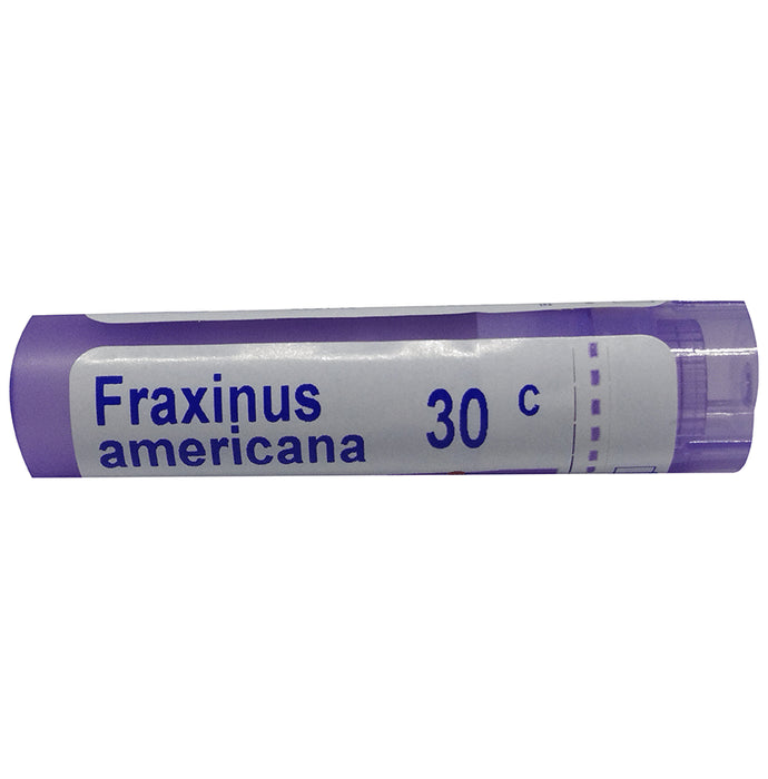 Boiron Fraxinus Americana Pellets 30C - Nibasu
