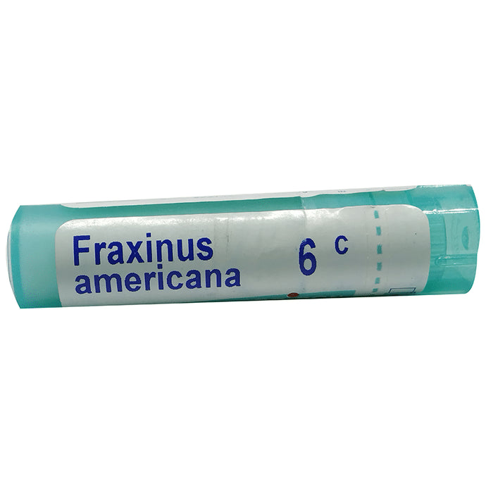 Boiron Fraxinus Americana Pellets 6C - Nibasu