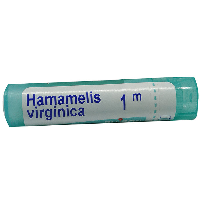 Boiron Hamamelis Virginica Pellets 1M - Nibasu