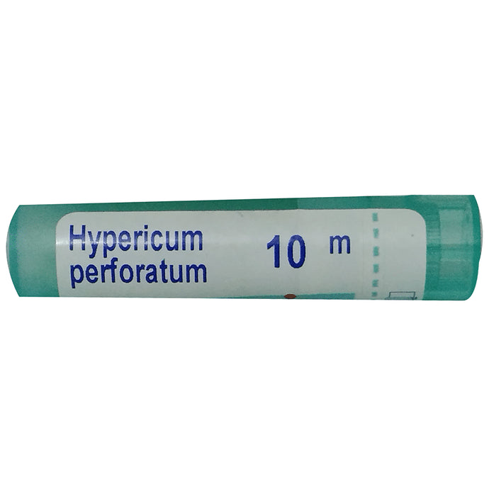 Boiron Hypericum Perforatum Pellets 10M - Nibasu