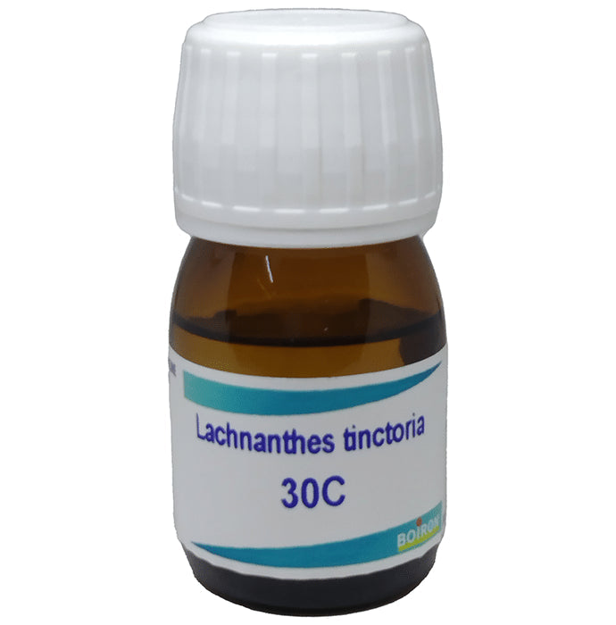 Boiron Lachnanthes Tinctoria Dilution 30C - Nibasu