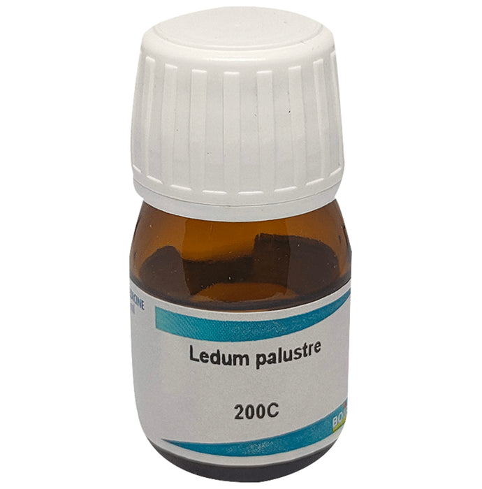 Boiron Ledum Palustre Dilution 200C - Nibasu