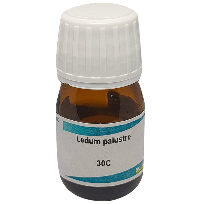 Boiron Ledum Palustre Dilution 30C - Nibasu