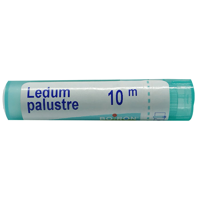 Boiron Ledum Palustre Pellets 10M - Nibasu