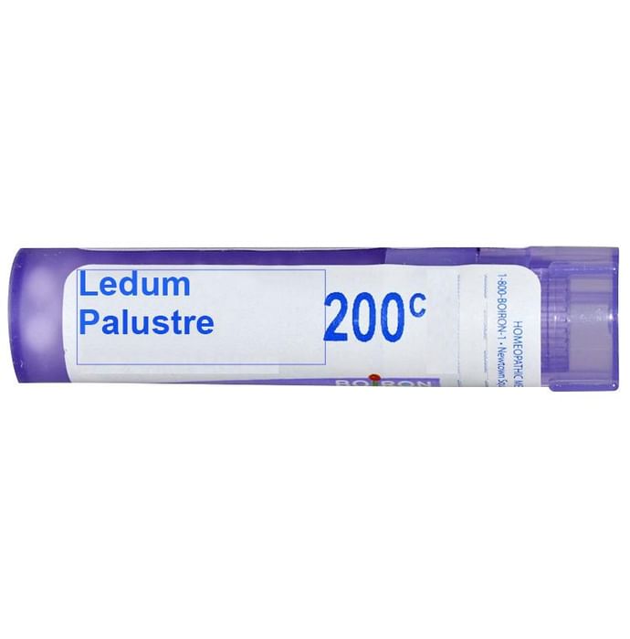 Boiron Ledum Palustre Single Dose Approx 200 Microgranules 200 CH - Nibasu