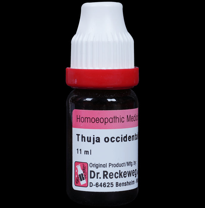 Dr. Reckeweg Thuja Occ Dilution 1000 CH - Nibasu