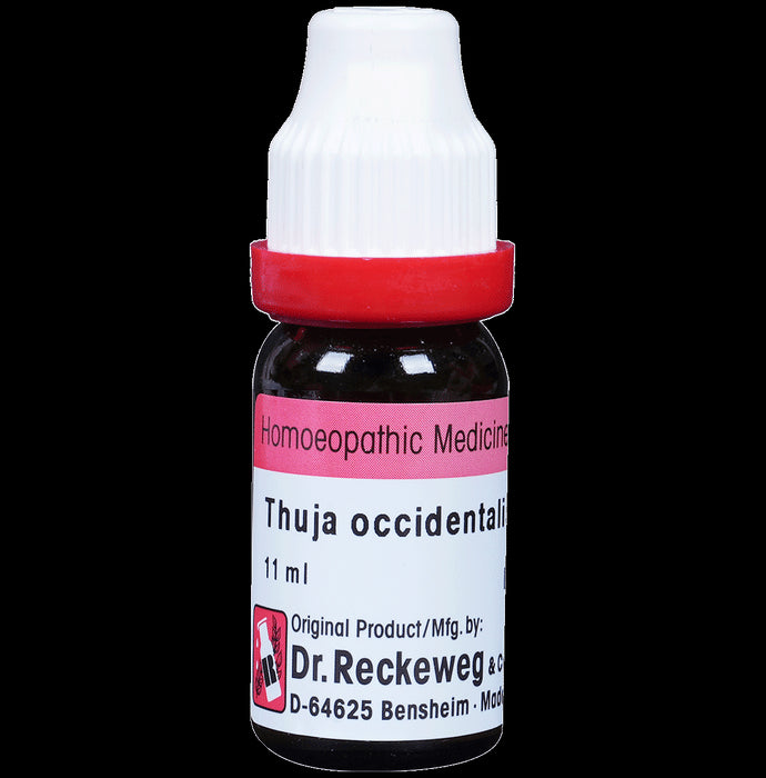 Dr. Reckeweg Thuja Occ Dilution 30 CH - Nibasu