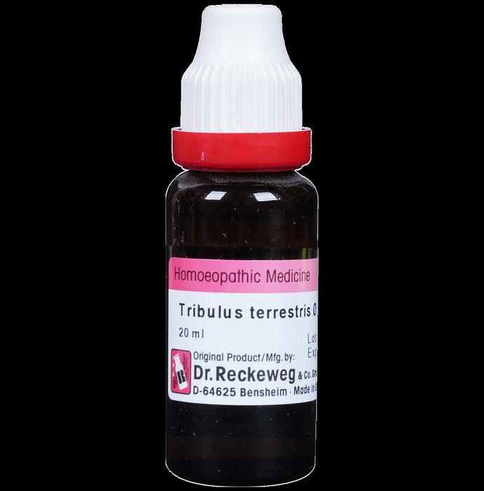 Dr. Reckeweg Tribulus Terr Mother Tincture Q - Nibasu