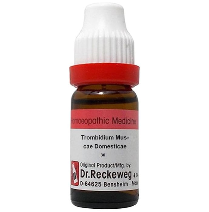 Dr. Reckeweg Trombidium Muscae Domesticae Dilution 30 CH - Nibasu