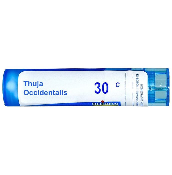 Boiron Thuja Occidentalis Single Dose Approx 200 Microgranules 30 CH - Nibasu