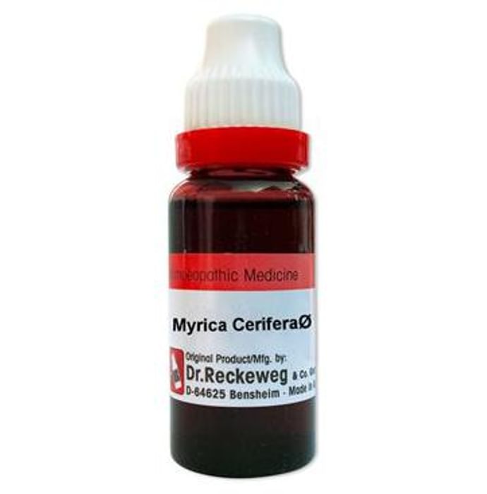 Dr. Reckeweg Myrica Cerifera Mother Tincture Q - Nibasu