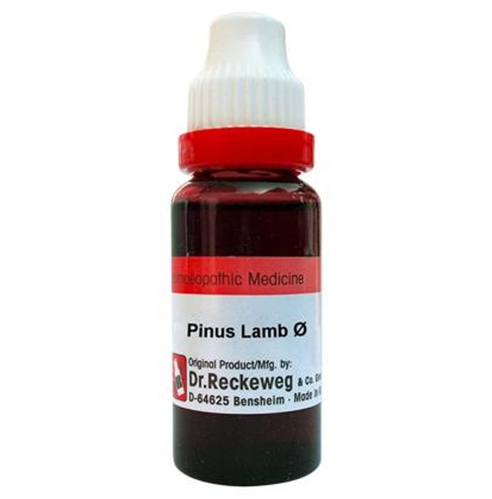 Dr. Reckeweg Pinus Lamb Mother Tincture Q - Nibasu