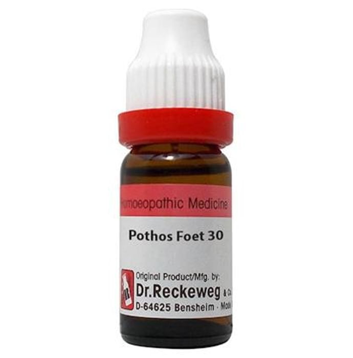 Dr. Reckeweg Pothos Foetida Dilution 30 CH - Nibasu