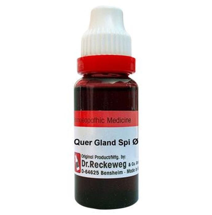 Dr. Reckeweg Quer Gland Spi Mother Tincture Q - Nibasu