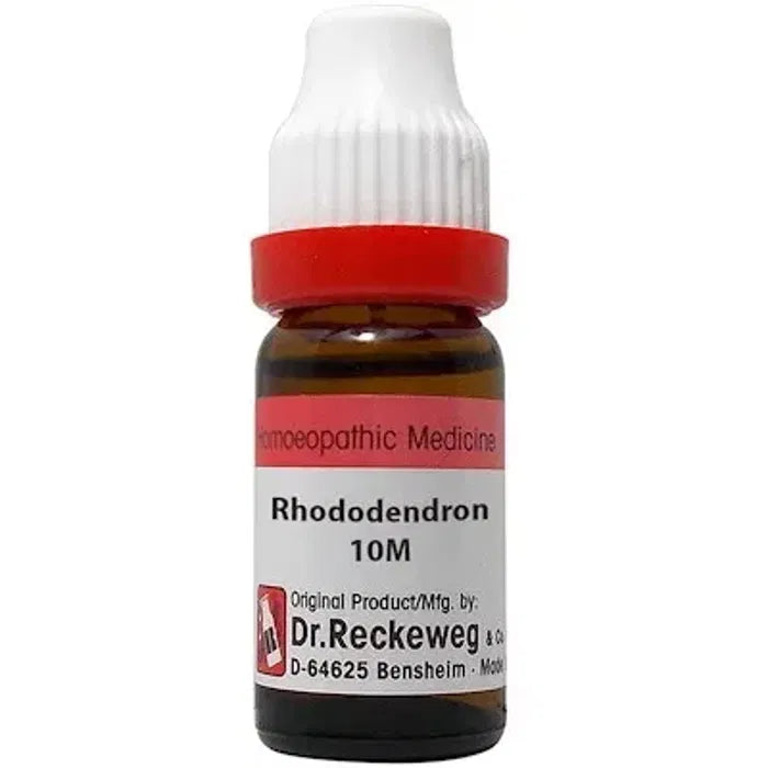 Dr. Reckeweg Rhododendron Dilution 10M CH - Nibasu