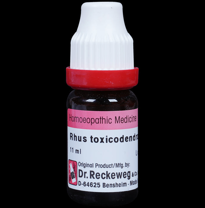 Dr. Reckeweg Rhus Tox Dilution 1000 CH - Nibasu