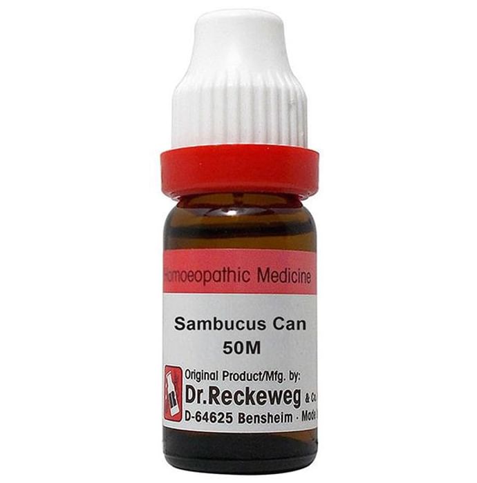 Dr. Reckeweg Sambucus Can Dilution 50M CH - Nibasu
