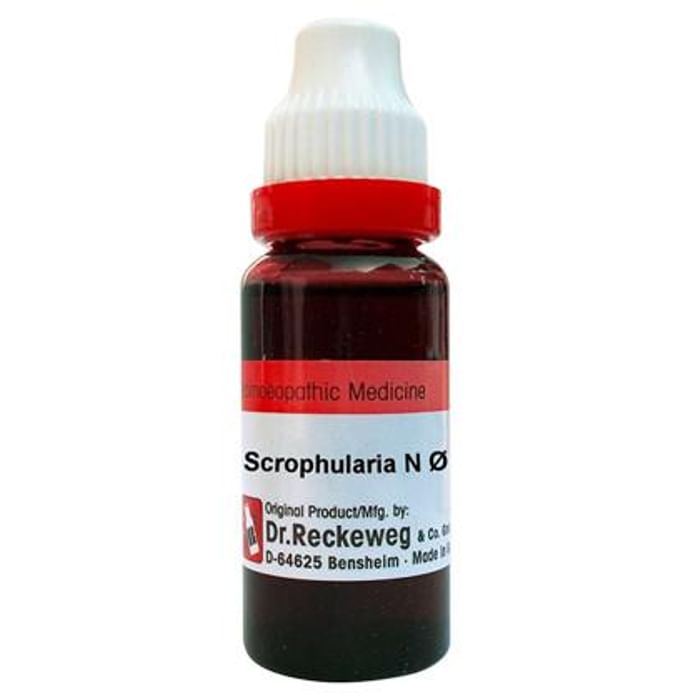 Dr. Reckeweg Scrophularia N Mother Tincture Q - Nibasu