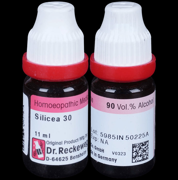 Dr. Reckeweg Silicea Dilution 30 CH - Nibasu