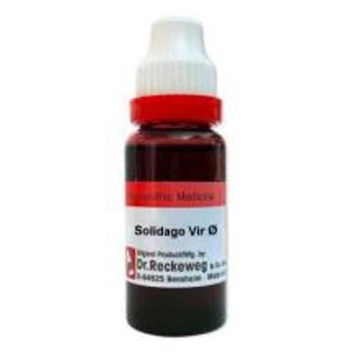 Dr. Reckeweg Solidago Vir Mother Tincture Q - Nibasu