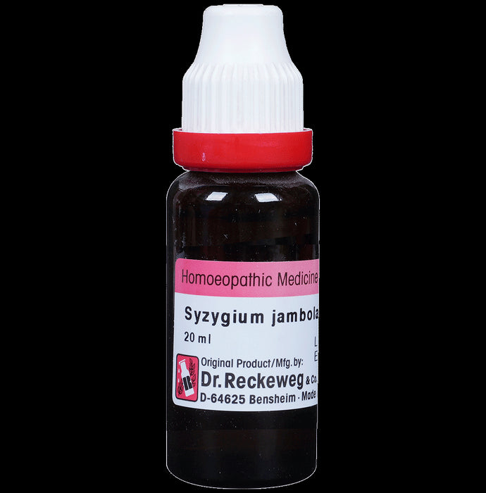 Dr. Reckeweg Syzygium Jamb Mother Tincture Q - Nibasu
