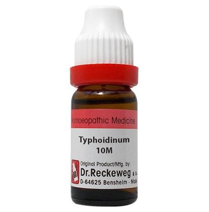 Dr. Reckeweg Typhodinum Dilution 10M CH - Nibasu