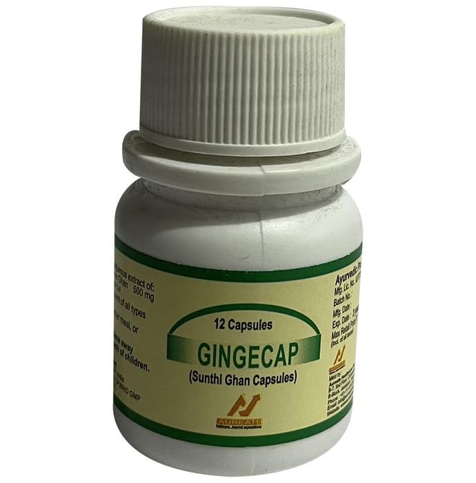 Gingecap Sunthi Ghan Capsule - Nibasu