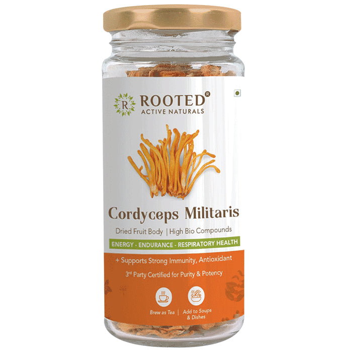 Rooted Active Naturals Cordyceps Militaris Dried Fruit Body - Nibasu