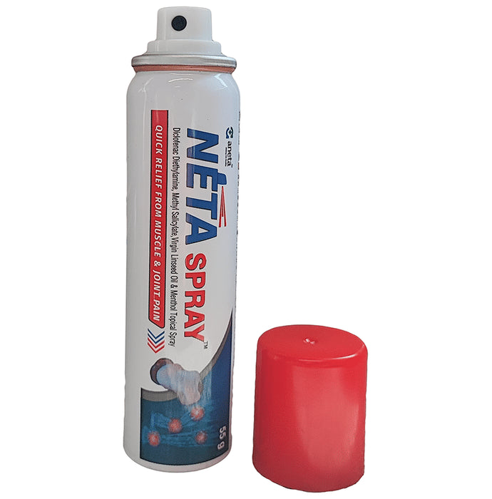 NetaSpray Quick Relief from Muscle & Joint Pain (55gm Each) - Nibasu