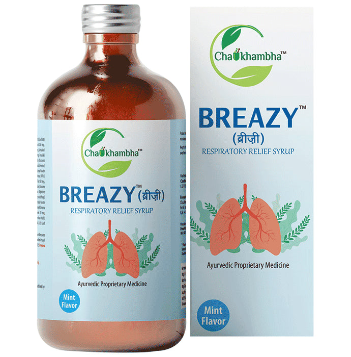 Chaukhambha Breazy Syrup Mint - Nibasu